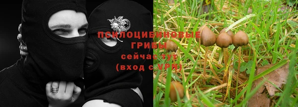 мефедрон мука Алексеевка