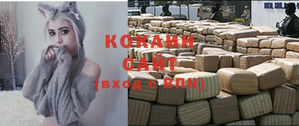 соль ск Алексин