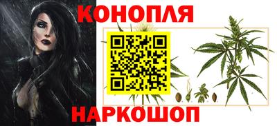 spice Гусиноозёрск