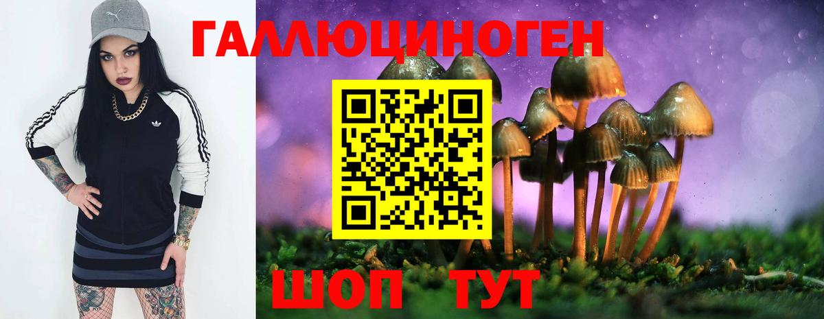 Псилоцибиновые грибы MAGIC MUSHROOMS  Вход с VPN  Мыски 